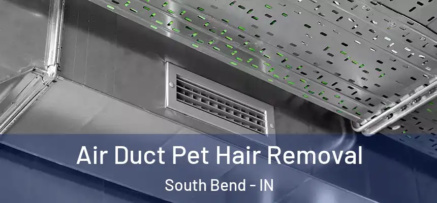 Air Duct Pet Hair Removal South Bend - IN