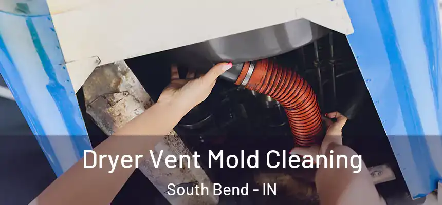 Dryer Vent Mold Cleaning South Bend - IN