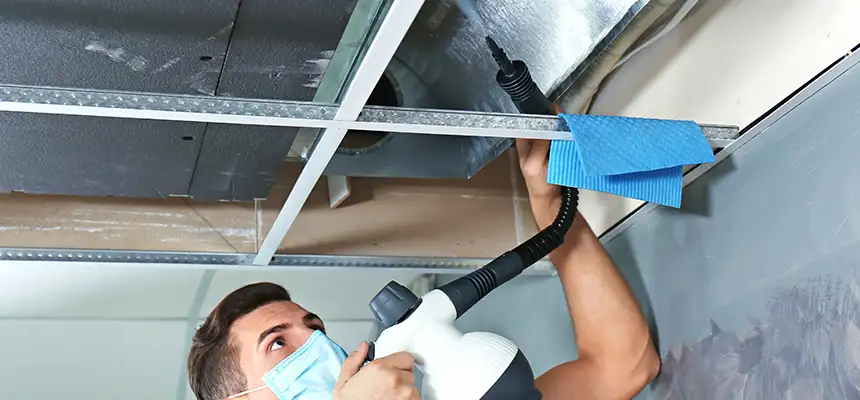 Our Air Duct Rodent Removal Services in South Bend, IN
