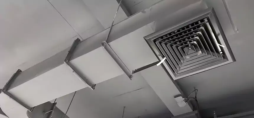 Restorative Allergy Relief Vent Cleaning – Coil, Blower & Housing Detail in South Bend