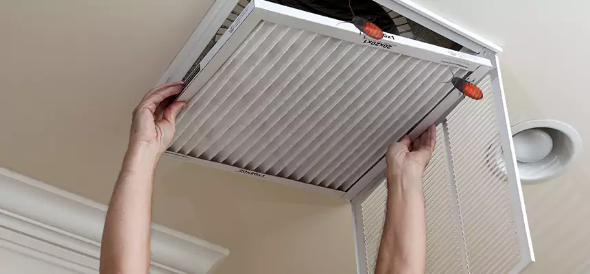 Our Insect Removal from Air Ducts Services in South Bend, IN