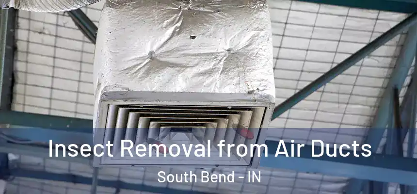 Insect Removal from Air Ducts South Bend - IN