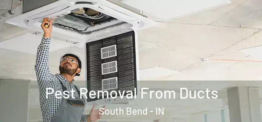 Pest Removal From Ducts South Bend - IN