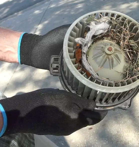 About Air Duct Mice Removal in South Bend, IN