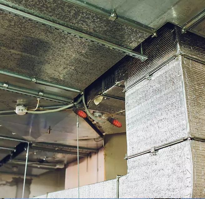 Why Homeowners & Businesses Trust Us in South Bend, IN?